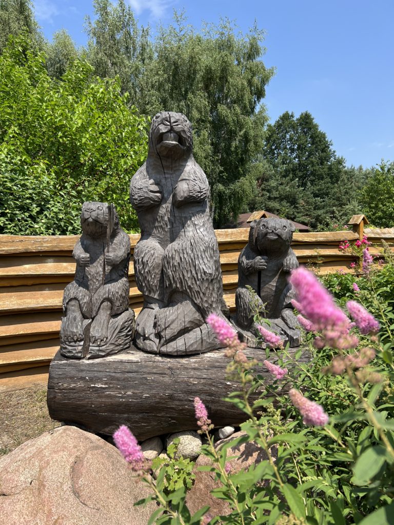 Rzeźby bobrów wykonane przez rzeźbiarza Henryka Zachwieje ze Szczawnicy