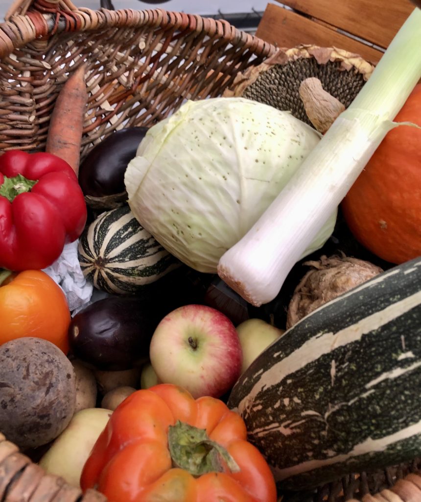 Warsztaty jesienne, poznawanie warzyw i owoców po smaku i dotyku Gospodarstwie Agroturystycznym Dolina Bobrów