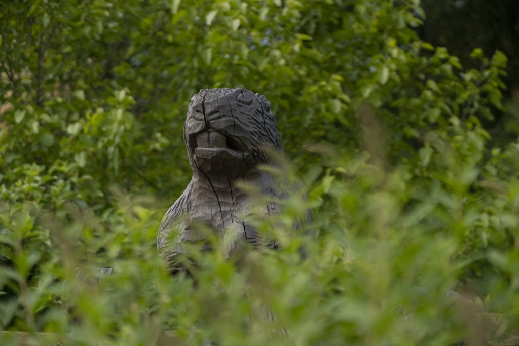 Rzeźby bobrów wykonane przez rzeźbiarza Henryka Zachwieje ze Szczawnicy